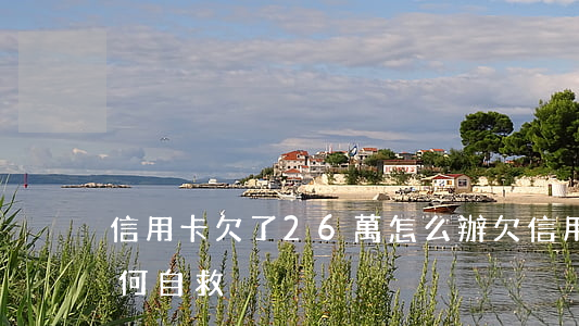 信用卡欠了26萬怎么辦 欠信用卡20萬如何自救