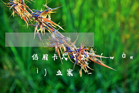 信用卡欠了2萬(wàn)多公安會(huì)立案嗎-