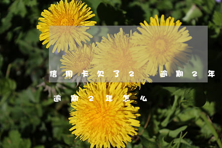 信用卡欠了2萬逾期2年-信用卡欠了2萬逾期2年怎么還