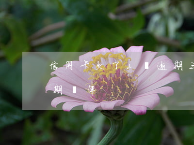 信用卡欠了2萬逾期三年(信用卡欠款兩萬逾期兩年)