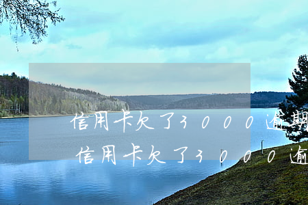 信用卡欠了3000逾期兩個(gè)月-信用卡欠了3000逾期兩個(gè)月會(huì)怎么樣