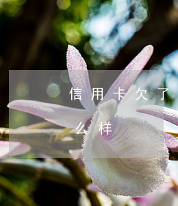 信用卡欠了30万失联(欠信用卡钱失联会怎么样)