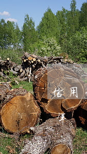 信用卡欠了30萬四年（信用卡欠了30萬四年）