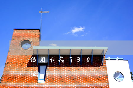 信用卡欠了30萬怎么辦(信用卡欠三十萬怎么還)
