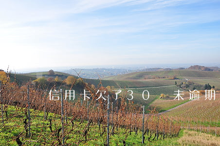 信用卡欠了30萬未逾期