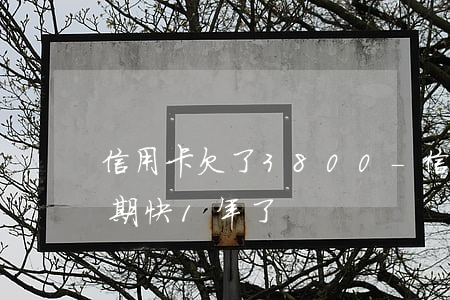 信用卡欠了3800-信用卡欠了2萬多逾期快1年了