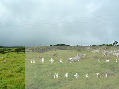 信用卡欠了3萬(wàn)塊錢(qián)-信用卡欠了3萬(wàn)塊錢(qián)怎么還
