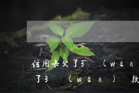 信用卡欠了3萬(wàn)貸款嗎(信用卡欠了3萬(wàn)貸款嗎怎么辦)