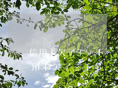 信用卡欠了3萬不還會(huì)怎么樣(信用卡欠了三千多沒還會(huì)怎么樣)
