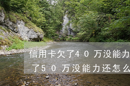 信用卡欠了40万没能力还怎么办(信用卡欠了50万没能力还怎么办)