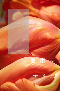 信用卡欠了40萬該不該告訴家人-欠信用卡40多萬可以慢慢還嗎
