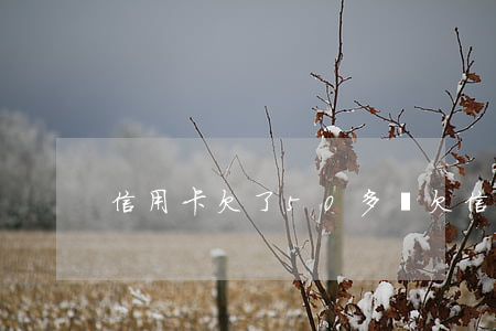 信用卡欠了50多萬 欠信用卡50萬怎么辦