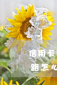 信用卡欠了50萬跑路(信用卡欠了50萬跑路怎么處理)