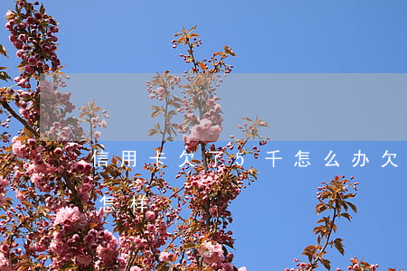 信用卡欠了5千怎么办(欠信用卡五千不还会怎样)