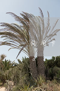 信用卡欠了5年1萬(wàn)變6萬(wàn)合理嗎
