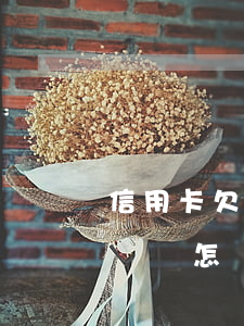 信用卡欠了60元的錢(信用卡欠了60元的錢會怎樣)