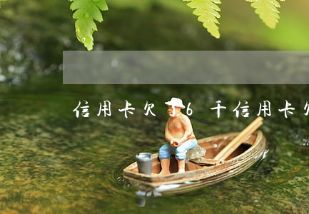 信用卡欠了6千(信用卡欠了6千怎么辦)