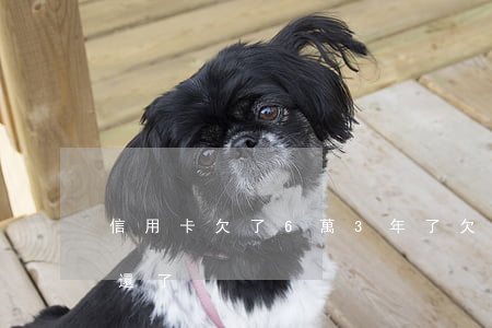 信用卡欠了6萬3年了(欠信用卡6萬3年沒還了)