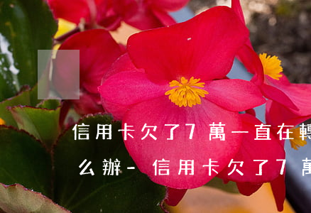 信用卡欠了7萬一直在轉(zhuǎn)怎么辦-信用卡欠了7萬一直在轉(zhuǎn)怎么辦呢