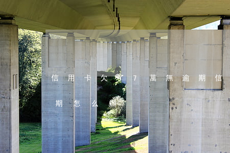 信用卡欠了7萬無逾期(信用卡欠了7萬無逾期怎么辦)