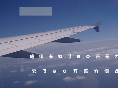 信用卡欠了80万无力偿还怎么办-信用卡欠了80万无力偿还怎么办呢
