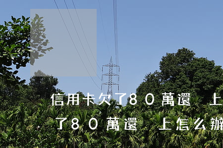 信用卡欠了80萬還沒上怎么辦-信用卡欠了80萬還沒上怎么辦呢