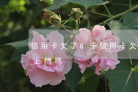信用卡欠了8千 信用卡欠8千會(huì)上門嗎