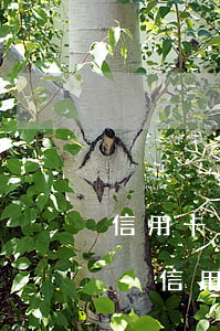 信用卡欠了8萬不敢結(jié)婚怎么辦-信用卡欠了8萬不敢結(jié)婚怎么辦理