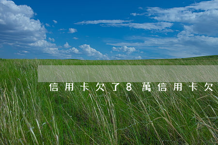 信用卡欠了8萬(信用卡欠了8萬怎么辦)