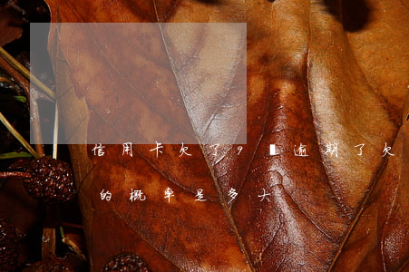 信用卡欠了9萬逾期了(欠信用卡9萬多,坐牢的概率是多大)