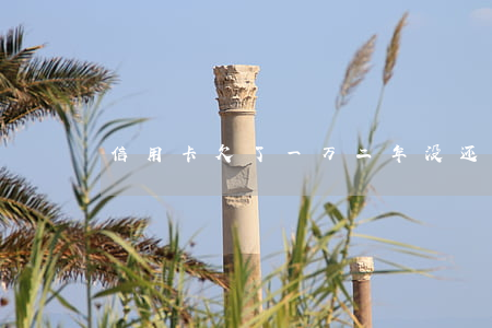 信用卡欠了一万二年没还怎么办-