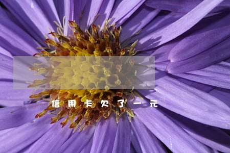 信用卡欠了一元