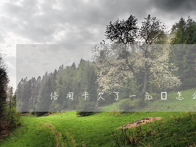 信用卡欠了一元會怎么樣