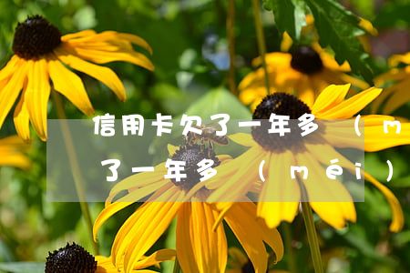 信用卡欠了一年多沒(méi)還(信用卡欠了一年多沒(méi)還還能買(mǎi)房嗎)