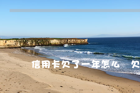 信用卡欠了一年怎么還(欠信用卡一年多)