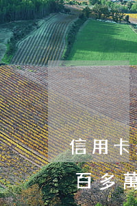 信用卡欠了一百多萬(wàn)(信用卡欠一百多萬(wàn)還不起的后果)