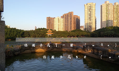 信用卡欠了一百萬(wàn)無(wú)力償還(信用卡欠50萬(wàn)無(wú)力償還會(huì)怎么處理)