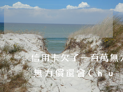 信用卡欠了一百萬無力償還(信用卡欠50萬無力償還會(huì)怎么處理)