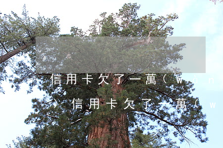 信用卡欠了一萬(wàn)塊錢(qián)(信用卡欠了一萬(wàn)塊錢(qián)怎么還款)