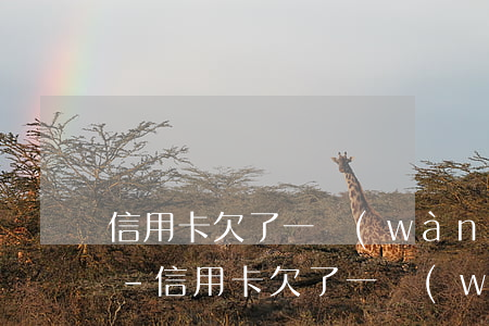 信用卡欠了一萬(wàn)多還不上怎么辦-信用卡欠了一萬(wàn)多還不上怎么辦?