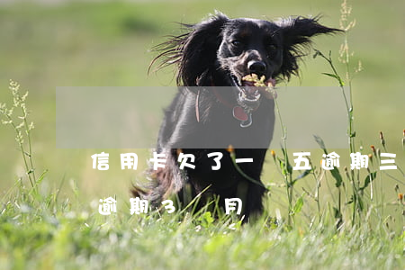 信用卡欠了一萬五逾期三個月(欠信用卡5萬逾期3個月)