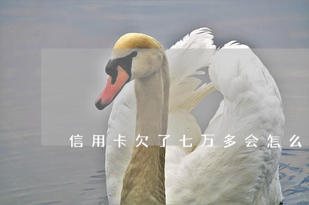 信用卡欠了七万多会怎么样