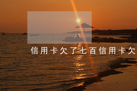信用卡欠了七百(信用卡欠七百多被起诉)