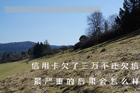 信用卡欠了三万不还(欠信用卡三万还不起了最严重的后果会怎么样)