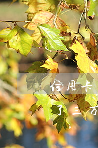 信用卡欠了三万逾期几年会怎样-信用卡欠了三万逾期几年会怎样处理