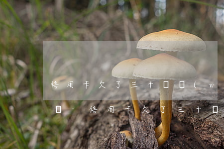 信用卡欠了三十幾萬(wàn)沒錢還怎么辦-信用卡欠了三十幾萬(wàn)沒錢還怎么辦呢