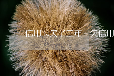 信用卡欠了三年-欠信用卡3萬逾期三年