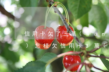 信用卡欠了三萬(wàn)不還會(huì)怎樣(欠信用卡3萬(wàn)不還會(huì)怎么樣)
