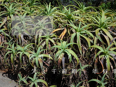 信用卡欠了三萬(wàn)逾期半年(信用卡欠3千逾期一年有事嗎)