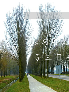 信用卡欠了三萬多分期還不行嗎-信用卡欠了三萬多分期還不行嗎怎么辦